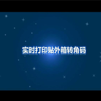自動貼標(biāo)機實時打印貼外箱轉(zhuǎn)角碼視頻